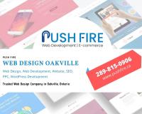 Web Design Company Oakville image 3